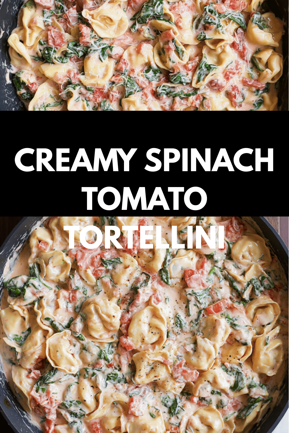 Creamy Spinach Tomato Tortellini Recipe With Fresh Herbs And Cheese 6 Creamy Spinach Tomato Tortellini