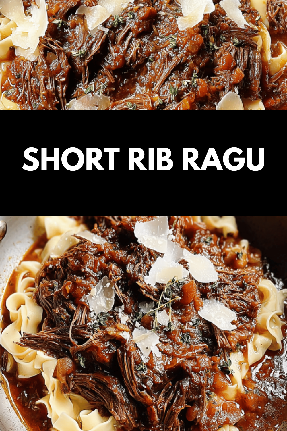 Short Rib Ragu