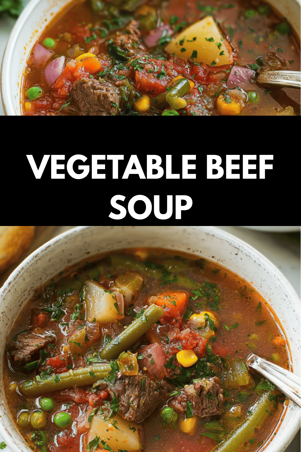 Vegetable Beef Soup