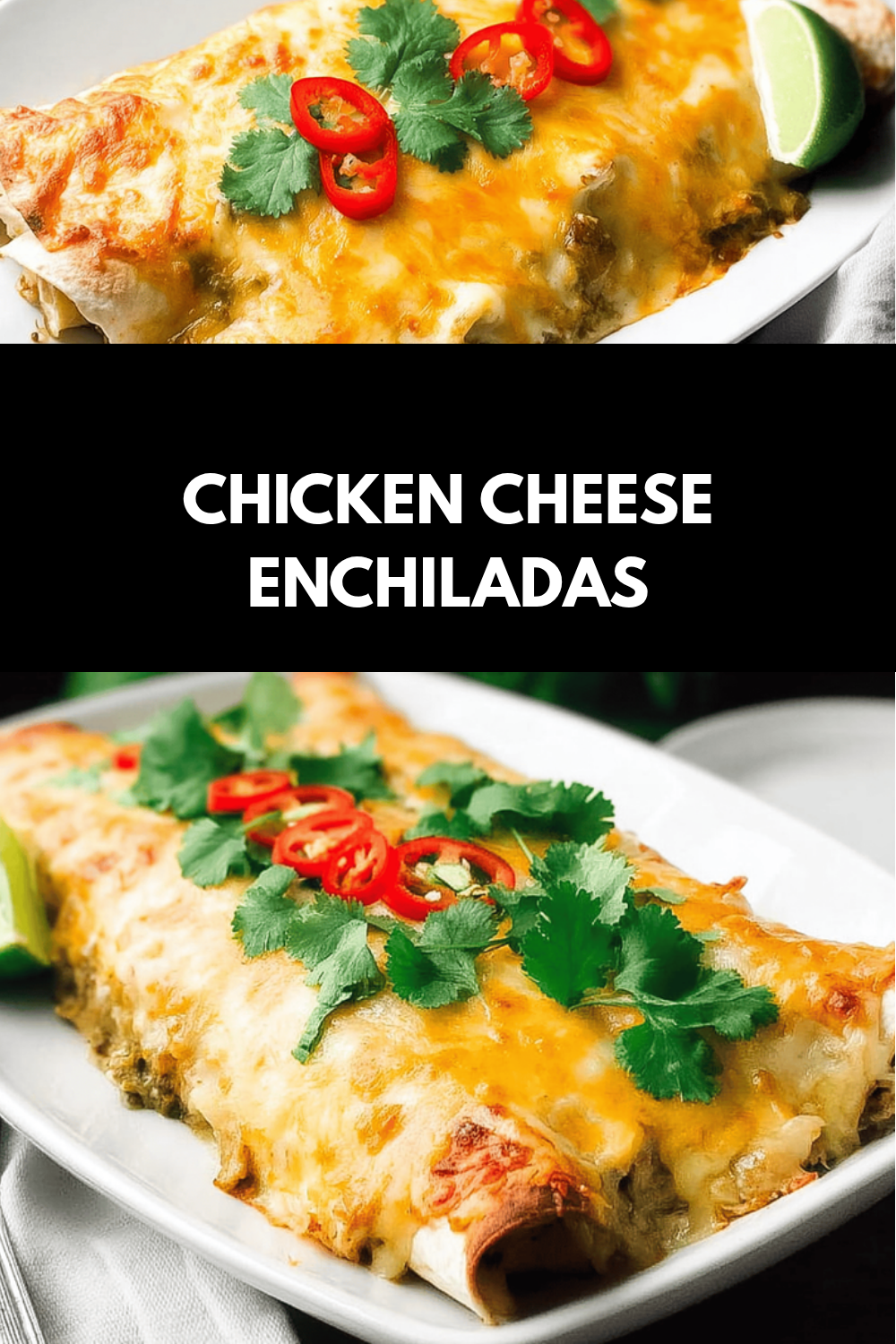 Easy Chicken Enchiladas Recipe For Quick And Tasty Meals 6 Chicken Cheese Enchiladas