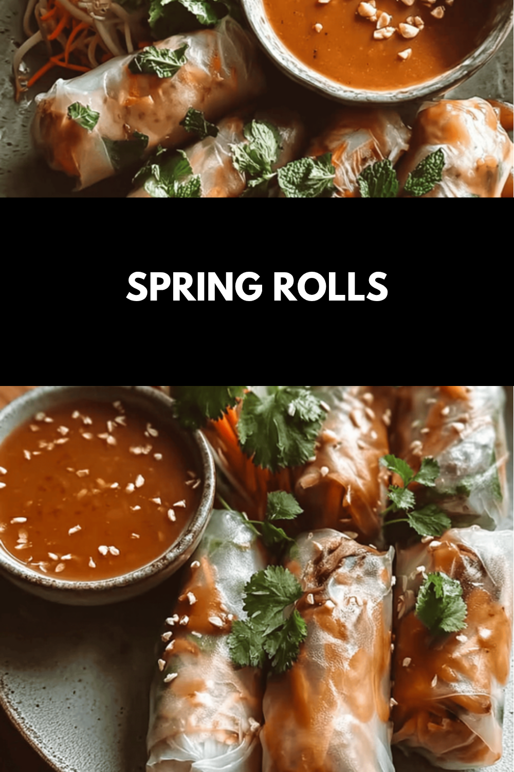 Fresh Spring Rolls Recipes With Vibrant Flavors For Easy Homemade Meals 6 Spring Rolls