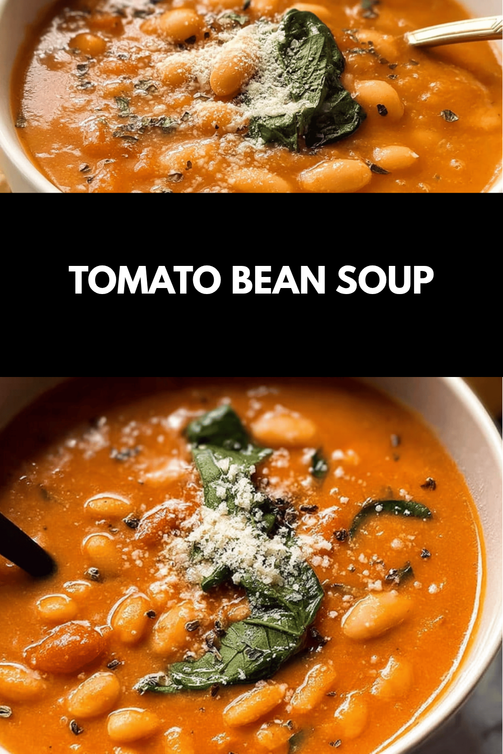 Tomato Bean Soup