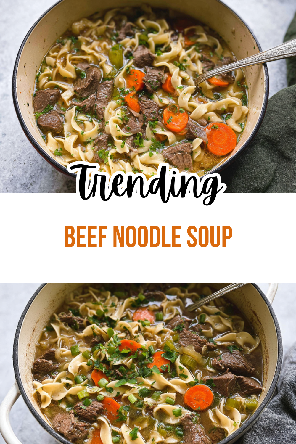 Beef Noodle Soup