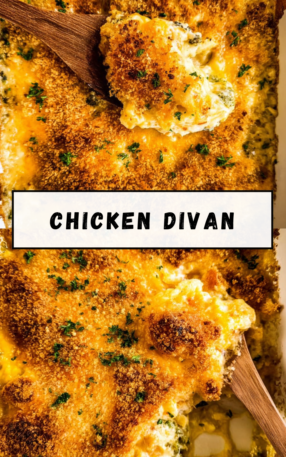 Chicken Divan Recipe With Creamy Broccoli And Cheesy Sauce 7 Chicken Divan