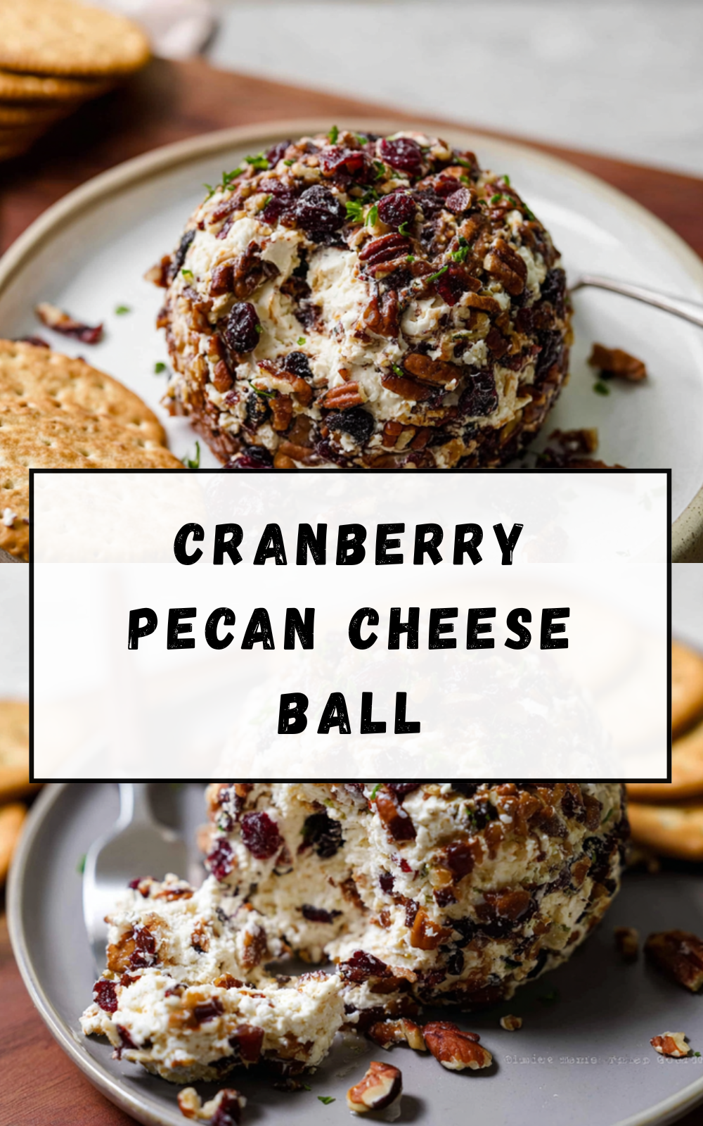 Cranberry Pecan Cheese Ball Recipe For Delicious Holiday Appetizers 7 Cranberry Pecan Cheese Ball