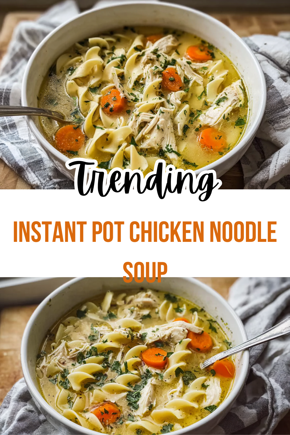Instant Pot Chicken Noodle Soup