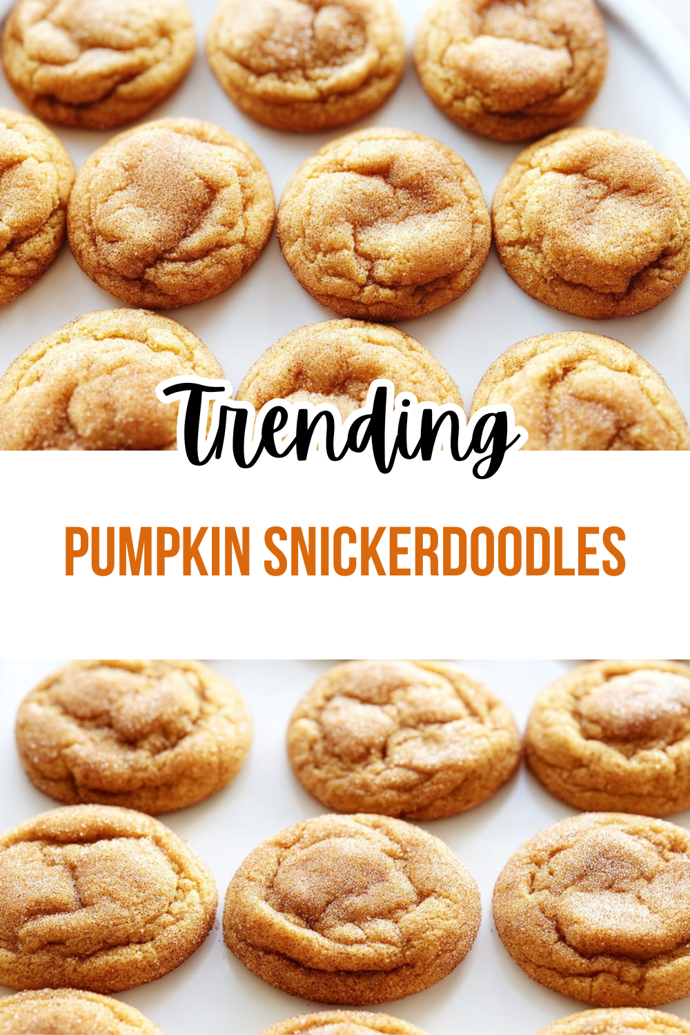Pumpkin Snickerdoodles