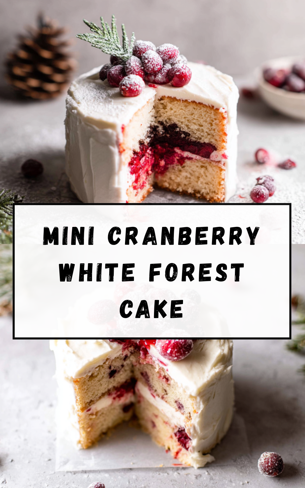 White Chocolate Cranberry Bundt Cake Recipe With Simple Ingredients 7 Mini Cranberry White Forest Cake