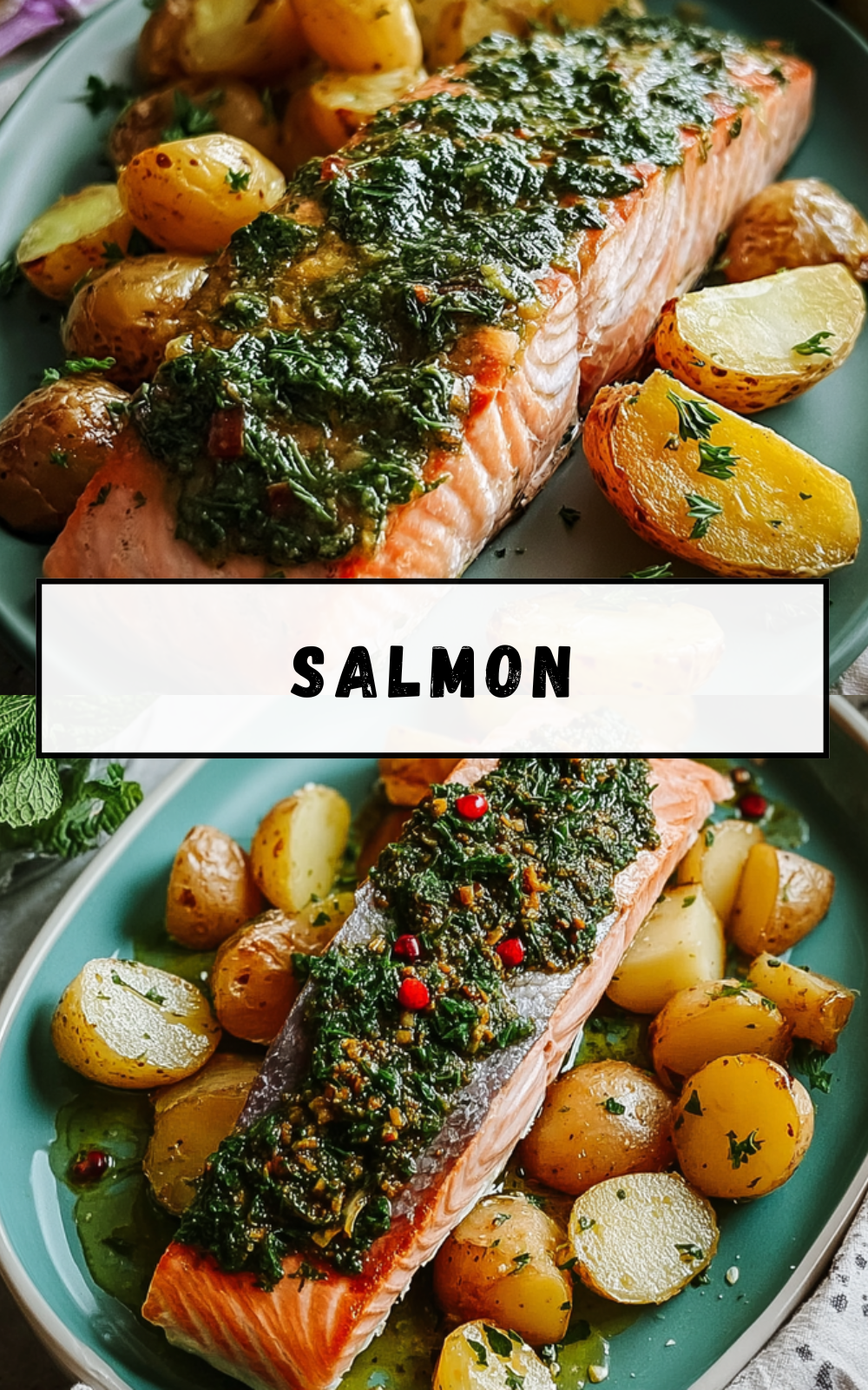 Salmon