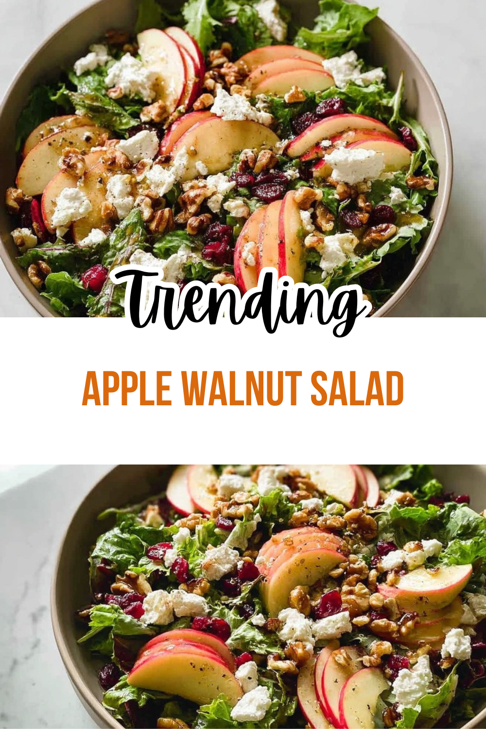 Apple Walnut Salad Recipe 7 Apple Walnut Salad